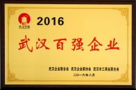 2016武漢百?gòu)?qiáng)企業(yè)